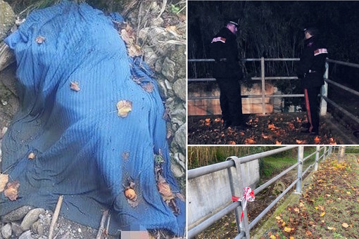Cadavere trovato nel greto del torrente a Ceriale: sopralluoghi e confronto delle testimonianze (FOTO e VIDEO) Cadavere trovato nel greto del torrente a Ceriale: sopralluoghi e confronto delle testimonianze (FOTO e VIDEO)