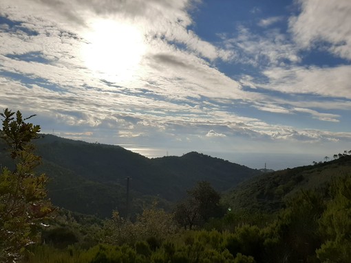 18enne trovato senza vita nei boschi a Celle: disposta l'autopsia