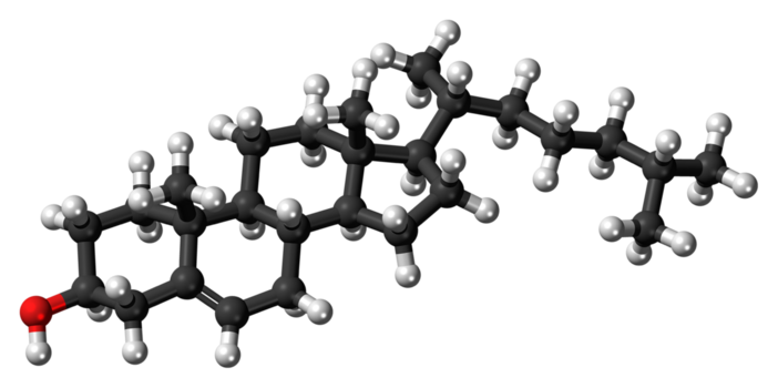 Come abbassare il colesterolo con gli integratori Come abbassare il colesterolo con gli integratori