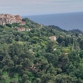 Castellar, fotografie di Danilo Radaelli