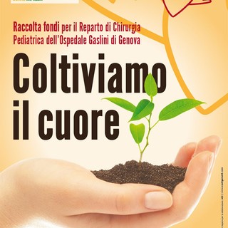 Le piante di Albenga aiutano il Gaslini