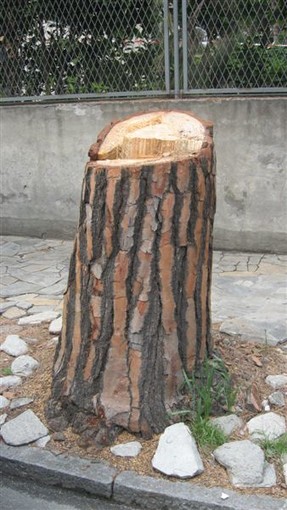 Savona: il WWF Savona propone una campagna nazionale