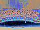 Il coro M. Cauriol Il coro M. Cauriol
