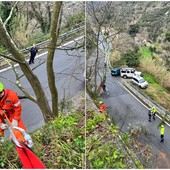 Albisola, rimozione di alberi pericolanti ad Ellera: intervento della protezione civile e della Provincia (FOTO)