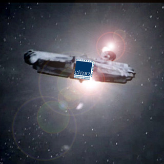 Balenottera spiaggiata a Recco: Come avrebbero fatto a Genova senza il CIMA?