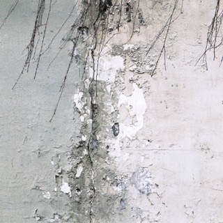 Il cinema di Abbas Kiarostami e le installazioni di Cabiati ad Andora