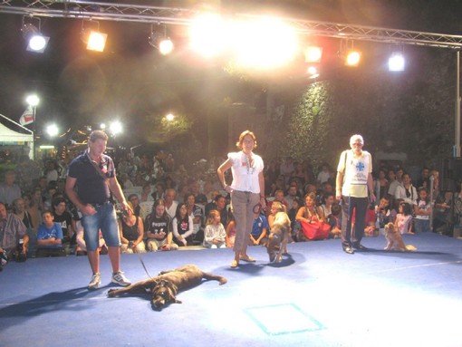 I cani fantasia: tutti vincitori I cani fantasia: tutti vincitori