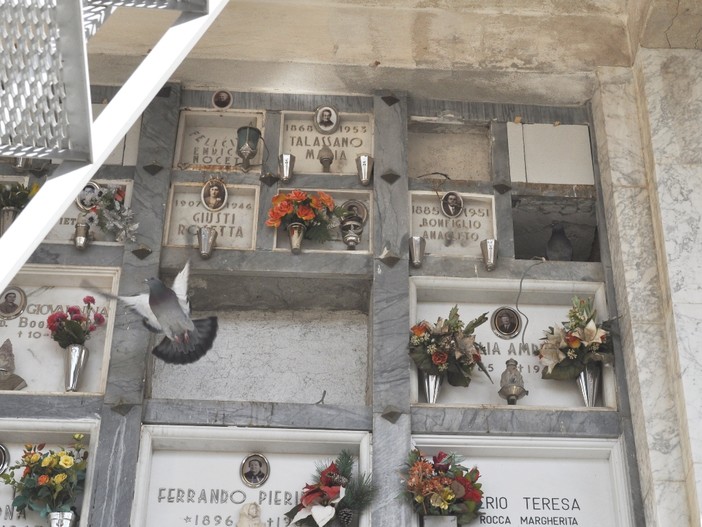 Sempre meno nascite ad Albenga dove invece sorge il problema spazi nei cimiteri Sempre meno nascite ad Albenga dove invece sorge il problema spazi nei cimiteri