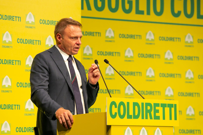 Agricoltura, la Camera approva il Coltivaitalia: oltre un miliardo al settore primario