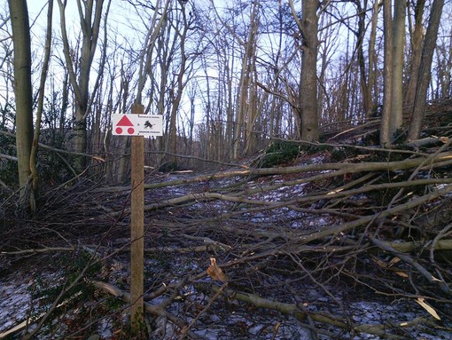 Parco Adelasia a Cairo: tanti interventi per "salvare" il percorso CinghialTracks