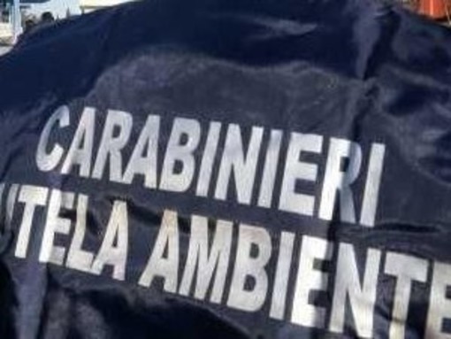 Blitz dei Carabinieri del Noe nel centro medico di Cisano sul Neva Blitz dei Carabinieri del Noe nel centro medico di Cisano sul Neva