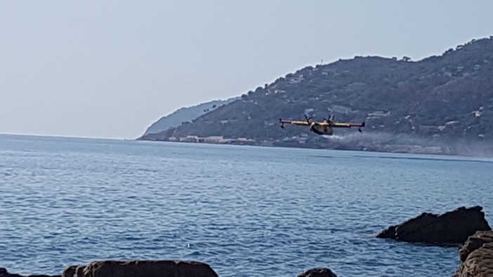 Incendio di Stellanello: non si ferma il lavoro del Canadair (FOTO e VIDEO) Incendio di Stellanello: non si ferma il lavoro del Canadair (FOTO e VIDEO)