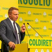 Agricoltura, la Camera approva il Coltivaitalia: oltre un miliardo al settore primario