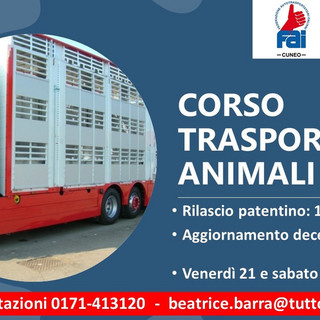Iscriviti al corso “Conducenti trasporto animali vivi”