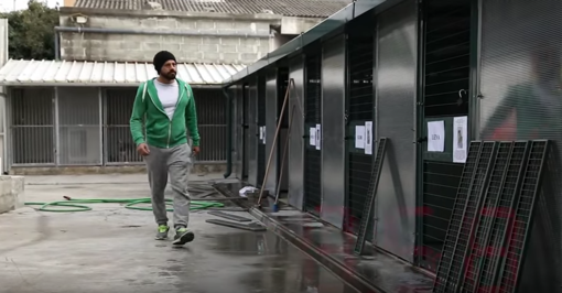 Raccolta cibo per il canile di Savona