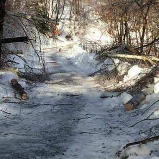 Calizzano isolata e senza elettricità, il sindaco scrive al Prefetto