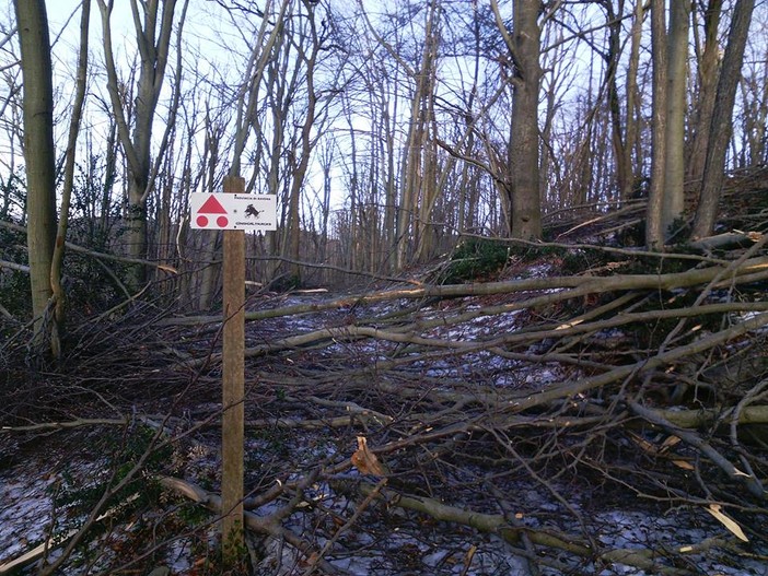 Parco Adelasia a Cairo: tanti interventi per "salvare" il percorso CinghialTracks Parco Adelasia a Cairo: tanti interventi per "salvare" il percorso CinghialTracks