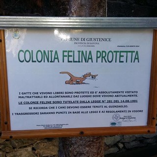 Comodato d'uso gratuito per la colonia felina di Giustenice
