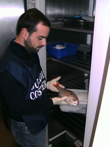 Guardia Costiera: anatomia dell'operazione Octopus