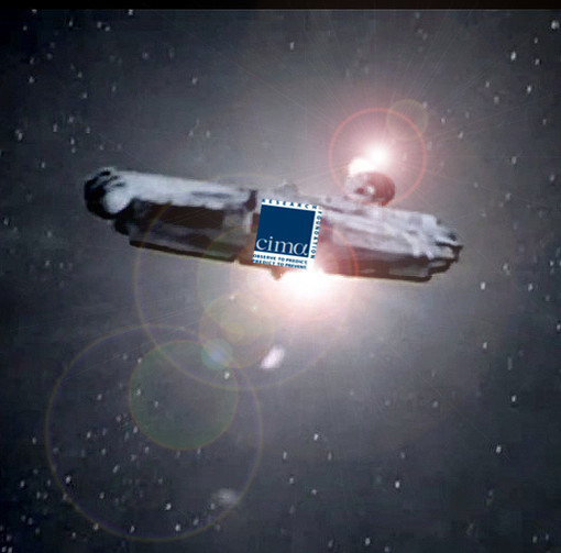 Balenottera spiaggiata a Recco: Come avrebbero fatto a Genova senza il CIMA?