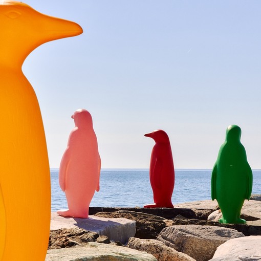 La "Cracking Art" impazza ad Albisola: è già regina dei social tra video e scatti fotografici La "Cracking Art" impazza ad Albisola: è già regina dei social tra video e scatti fotografici