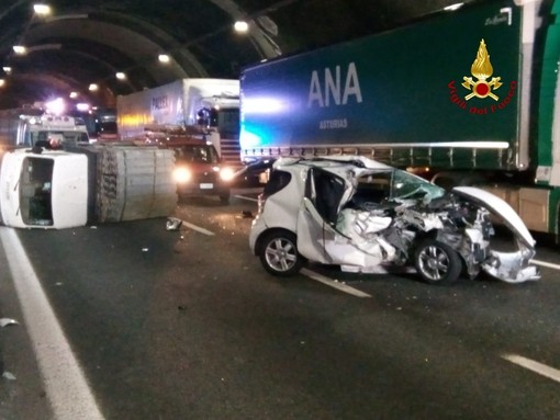 Addio a Camilla, la border collie eroe di Amatrice Addio a Camilla, la border collie eroe di Amatrice