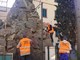 Celle, gli alpini sistemano il monumento ai caduti (FOTO) Celle, gli alpini sistemano il monumento ai caduti (FOTO)
