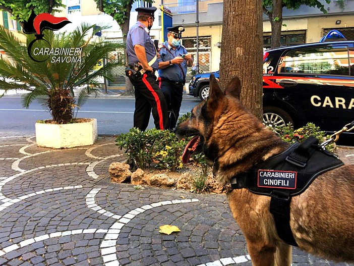 Albenga, controllo del territorio dei carabinieri: un arresto, due stranieri denunciati e numerosi consumatori di droga segnalati