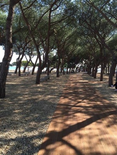Ceriale: plauso per la "nuova" Pineta sul lungomare Diaz Ceriale: plauso per la "nuova" Pineta sul lungomare Diaz