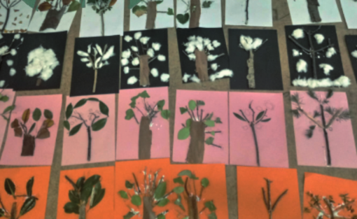 Borghetto: prende il via il progetto "Dall'albero al libro" Borghetto: prende il via il progetto "Dall'albero al libro"