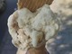 Ultima settimana per sostenere il progetto “Con un gelato doni un sorriso"