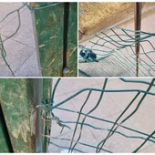 Savona, area cani delle Trincee senza acqua da oltre un mese: la protesta dei residenti Savona, area cani delle Trincee senza acqua da oltre un mese: la protesta dei residenti