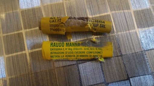 Anche a Ceriale dice no ai botti, il sindaco Romano: "Segno di civiltà e sensibilità" Anche a Ceriale dice no ai botti, il sindaco Romano: "Segno di civiltà e sensibilità"