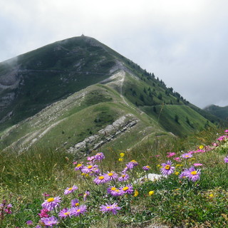 Attraverso le Alpi Liguri, escursione domenica 14 agosto sul monte Garlenda