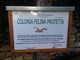 Comodato d'uso gratuito per la colonia felina di Giustenice Comodato d'uso gratuito per la colonia felina di Giustenice