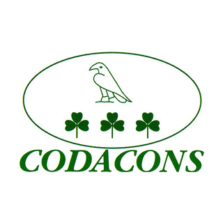Il Codacons presenta esposto alla Procura della Repubblica: &quot;Accertare se i motori sotto accusa siano commercializzati anche in Italia&quot;