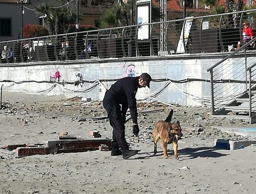 Controlli dei carabinieri ad Alassio: in azione il nucleo cinofili di Villanova d'Albenga (FOTO)
