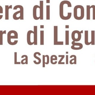 "Blue economy day": i numeri dell'economia del mare di Imperia, La Spezia e Savona