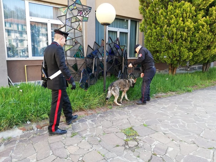 "Scuole sicure": il cane "Artur" dei Carabinieri Cinofili veglia su Carcare