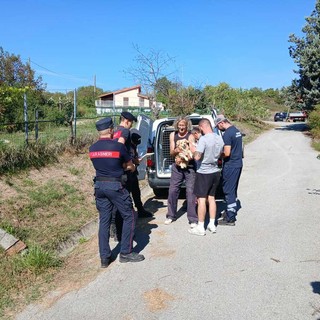 Cani dissequestrati a Dego, gli avvocati del proprietario: "Ha ricevuto insulti di ogni genere, vive per i suoi cani" Cani dissequestrati a Dego, gli avvocati del proprietario: "Ha ricevuto insulti di ogni genere, vive per i suoi cani"