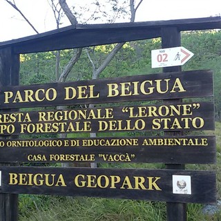 Parco del Beigua, finanziato un progetto da 458 mila euro per le Foreste Demaniali