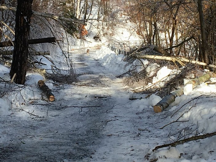 Calizzano isolata e senza elettricità, il sindaco scrive al Prefetto Calizzano isolata e senza elettricità, il sindaco scrive al Prefetto