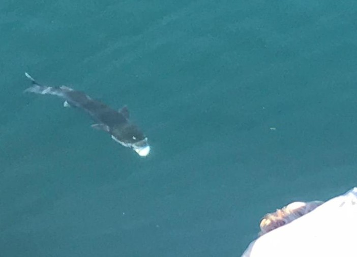 Foto copertina tratta dalla pagina "Menkab: il respiro del mare" Foto copertina tratta dalla pagina "Menkab: il respiro del mare"