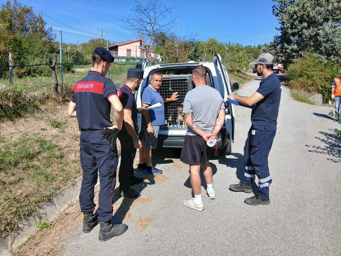 Cani restituiti a Dego, "Uomo Natura Animali": "Troppo severo l’allontanamento" Cani restituiti a Dego, "Uomo Natura Animali": "Troppo severo l’allontanamento"