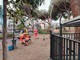 Celle, scattano i lavori del secondo lotto nei giardini delle scuole: tagliati i pini (FOTO E VIDEO) Celle, scattano i lavori del secondo lotto nei giardini delle scuole: tagliati i pini (FOTO E VIDEO)