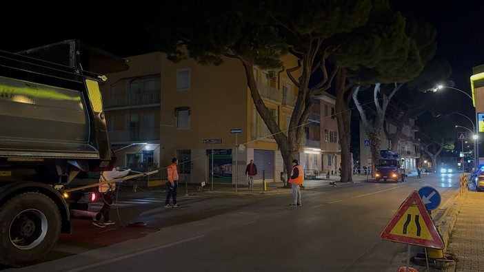 Loano, ultimati i controlli sui pini lungo l'Aurelia. Dal 4 marzo via ai lavori di eliminazione dei passaggi pedonali rialzati