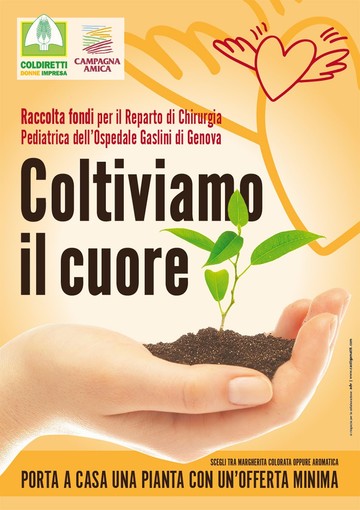 Le piante di Albenga aiutano il Gaslini