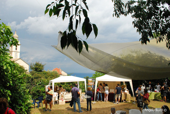 Foto comunicato stampa Foto comunicato stampa