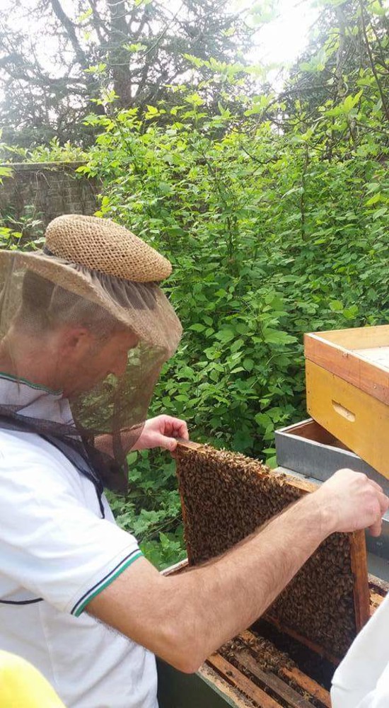 A Cairo la prima edizione della mostra mercato "Api in Piazza" A Cairo la prima edizione della mostra mercato "Api in Piazza"