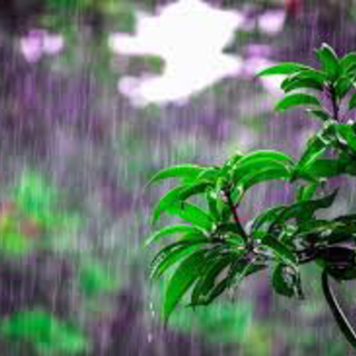 Meteo: migliora temporaneamente stasera, poi ancora maltempo